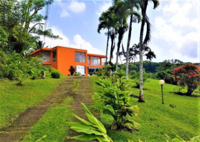 Maison de 5 chambres avec vue sur la mer jardin clos et wifi a saint joseph